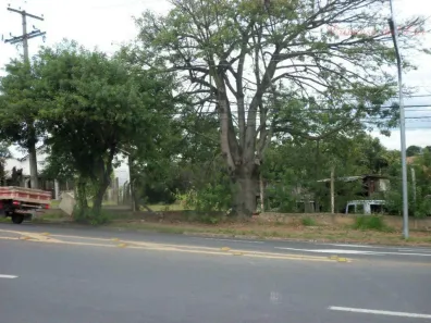 Lote/Terreno à venda, 3826m² no Cavalhada, Porto Alegre