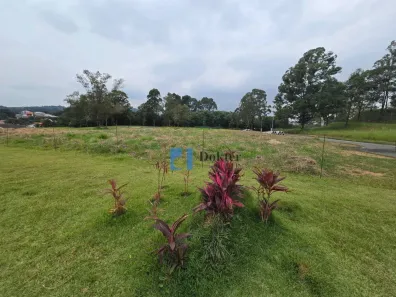 Lote/Terreno à venda, 338m² no Jardim Regina, São Paulo