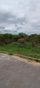 Lote/Terreno à venda, 300m² no Teixeirinha, Betim