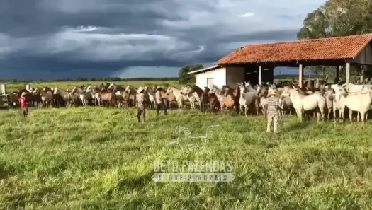Fazenda/Sítio à venda, 880000000m² no Área Rural de Cuiabá, Cuiabá