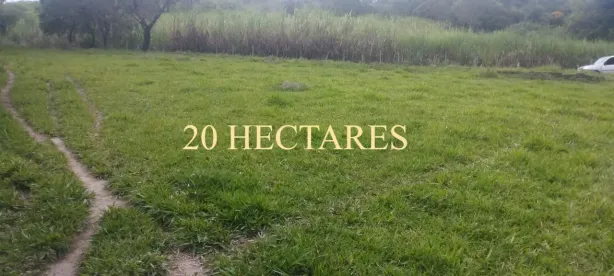 Lote/Terreno à venda, 200000m² no , Itaguara