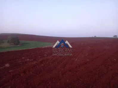 Fazenda/Sítio com 3 Quartos à venda, 400m² no Cornélio Procópio, Cornélio Procópio