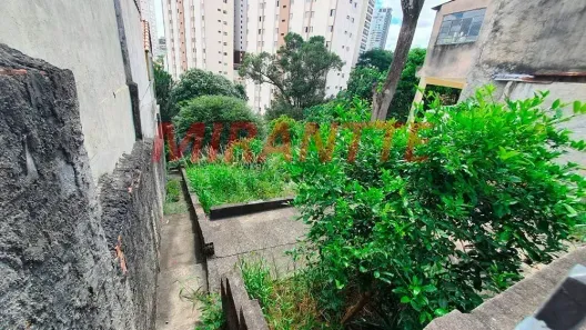 Apartamento com 4 Quartos à venda, 90m² no Chora Menino, São Paulo