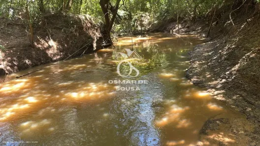 Fazenda/Sítio à venda, 46500m² no , Cesário Lange