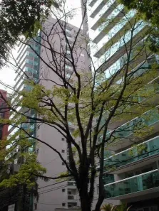 Apartamento com 3 Quartos à venda, 234m² no Itaim Bibi, São Paulo