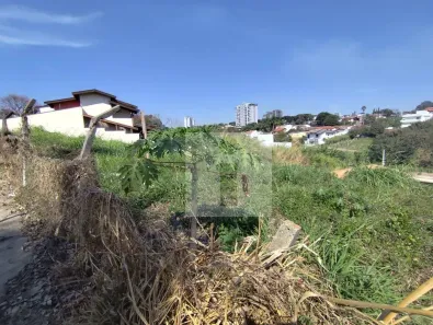 Lote/Terreno à venda, 378m² no Jardim Lumen Christi, Campinas
