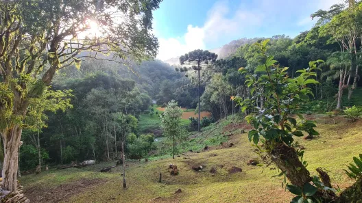 Fazenda/Sítio à venda, 356950m² no Bateias, Campo Largo