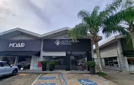 Ponto Comercial para alugar, 450m² no Saco Grande, Florianópolis