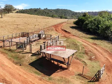 Fazenda/Sítio à venda, 1m² no , Ouro Verde de Goiás