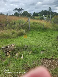Fazenda/Sítio com 1 Quarto à venda, 2410m² no Centro, São Francisco de Paula