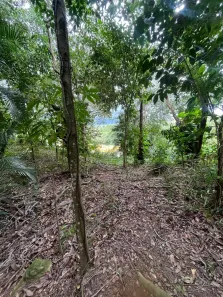 Lote/Terreno à venda, 558m² no Portal da Olaria, São Sebastião