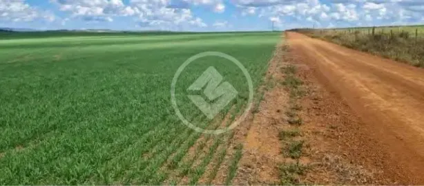 Fazenda/Sítio à venda, 3250m² no , São João d'Aliança
