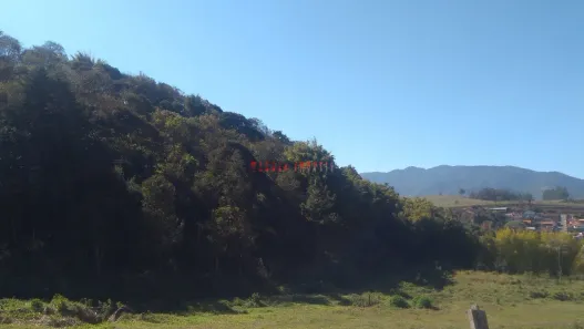 Lote/Terreno à venda, 28000m² no Centro, Vargem