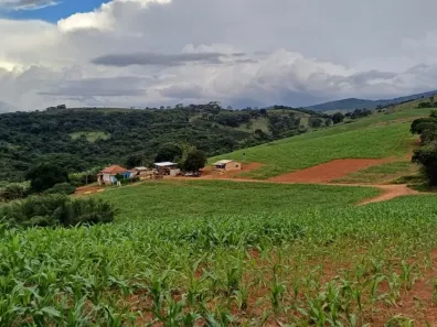 Fazenda/Sítio com 4 Quartos à venda, 2565200m² no , Conceição do Rio Verde