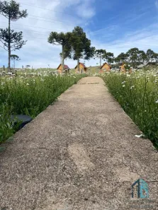 Lote/Terreno à venda, 20000m² no , São Joaquim