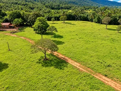 Fazenda/Sítio com 3 Quartos à venda, 50m² no Área Rural de Palmas, Palmas