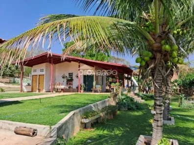 Fazenda/Sítio com 3 Quartos à venda, 105200m² no Setor Central, Aragoiânia