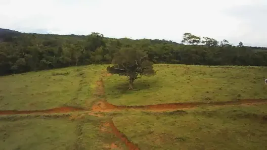 Fazenda/Sítio com 3 Quartos à venda, 4800m² no Bonsucesso (Bacaxá), Saquarema