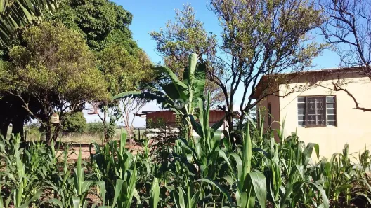 Lote/Terreno à venda, 25300m² no Chácaras Acapulco, Nova Odessa