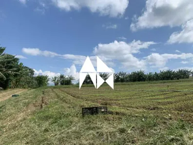 Fazenda/Sítio com 1 Quarto à venda, 83321m² no Engenheiro Passos, Resende
