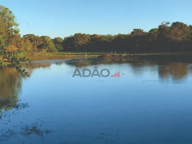 Fazenda/Sítio à venda, 70690100m² no , Cocalinho