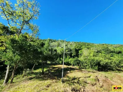 Lote/Terreno à venda, 5000m² no , Nova Petrópolis