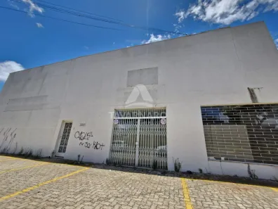 Galpão/Depósito/Armazém para alugar, 2000m² no Colônia Dona Luíza, Ponta Grossa