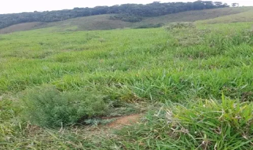 Fazenda/Sítio com 1 Quarto à venda, 227480m² no Torreões, Juiz de Fora
