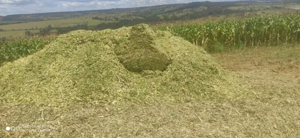 Fazenda/Sítio com 5 Quartos à venda, 25m² no , Corumbá de Goiás