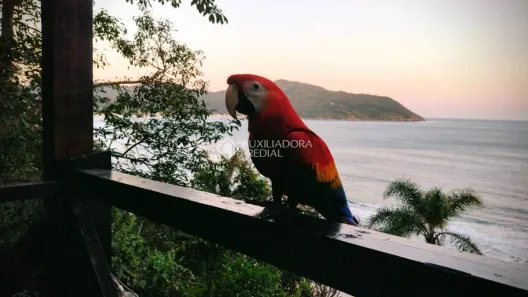 Casa com 1 Quarto à venda, 44m² no Pântano do Sul, Florianópolis