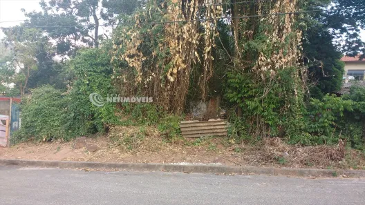 Lote/Terreno à venda, 570m² no Palmeiras, Belo Horizonte