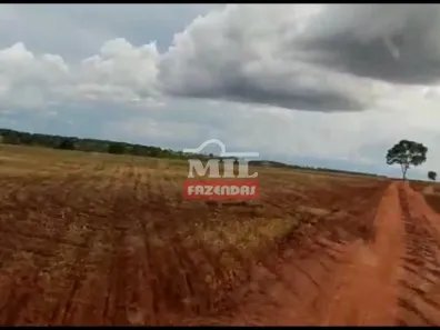 Fazenda/Sítio à venda, 446m² no , Arenópolis