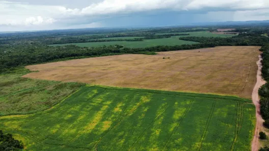 Fazenda/Sítio com 4 Quartos à venda, 234m² no Vale do Araguaia, Paraíso do Tocantins