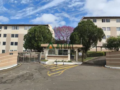 Apartamento com 3 Quartos à venda, 57m² no Jardim das Américas, Londrina