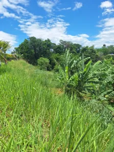 Fazenda/Sítio à venda, 2500m² no Campo Lindo, Seropédica