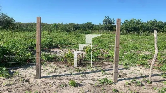 Lote/Terreno à venda, 20m² no Barra Grande, Cajueiro da Praia