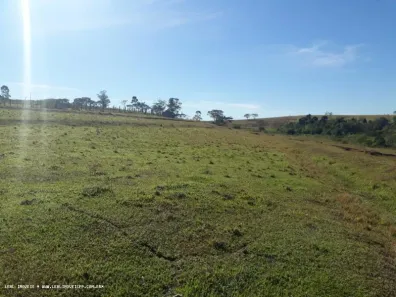 Lote/Terreno à venda, 100000m² no , Álvares Machado