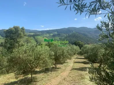 Fazenda/Sítio com 5 Quartos à venda, 870000m² no , Delfim Moreira