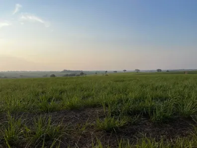 Fazenda/Sítio à venda, 22m² no , Caiabu