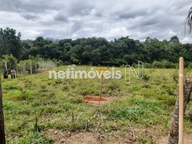 Fazenda/Sítio com 1 Quarto à venda, 1031m² no , Bom Jesus do Amparo