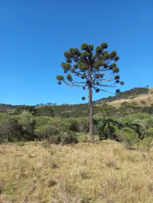 Lote/Terreno à venda, 578000m² no , São Joaquim