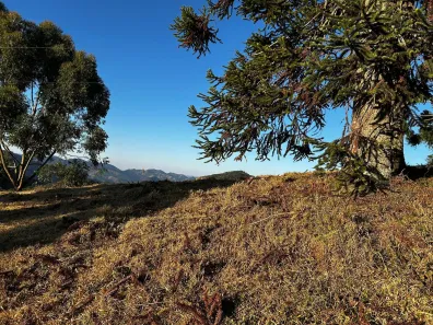 Fazenda/Sítio à venda, 4180m² no , Delfim Moreira