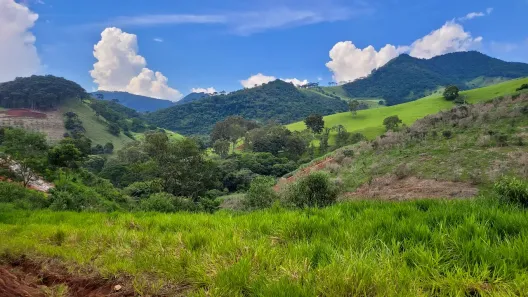 Fazenda/Sítio à venda, 36000m² no , Gonçalves