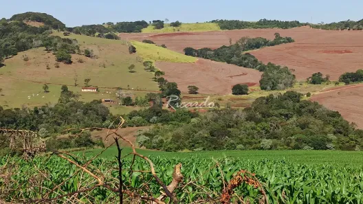 Fazenda/Sítio com 1 Quarto à venda, 10m² no Área Rural de Londrina, Londrina