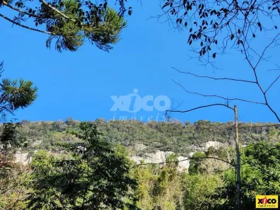 Fazenda/Sítio com 1 Quarto à venda, 5000m² no , Nova Petrópolis