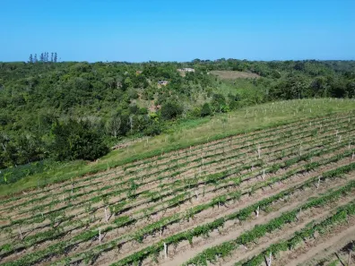 com 4 Quartos à venda, 50000m² no Coutos, Ilhéus