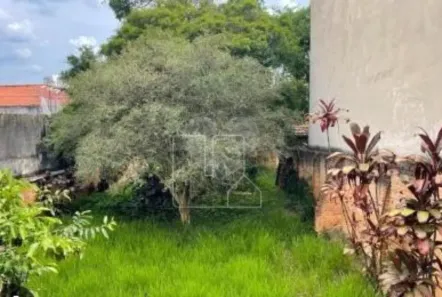 à venda, 600m² no Vila Monte Alegre, São Paulo