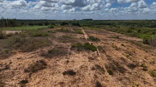 Fazenda/Sítio com 1 Quarto à venda, 60000m² no Povoado Dom Marcolino, Maxaranguape