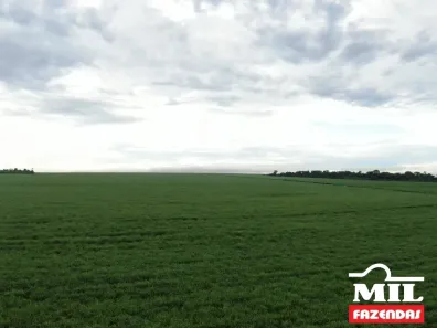 Fazenda/Sítio à venda, 1000m² no Divino Espírito Santo, Mineiros