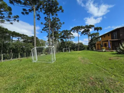 Lote/Terreno à venda, 2000m² no Borda do Campo, São José dos Pinhais